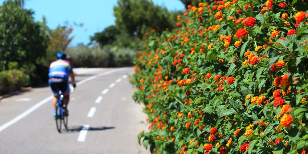 La Pista Ciclabile di Sanremo