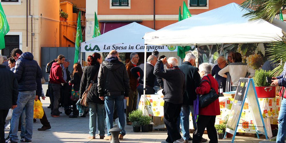 Olioliva a Imperia, la festa dell’olio nuovo